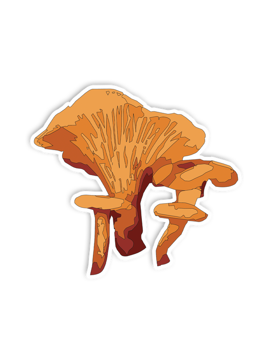 Orange Mushrooms Sticker